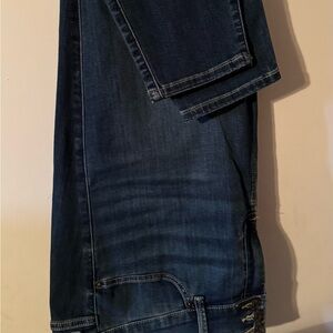 Torrid Jeggings, High-Rise Blue Grotto Color